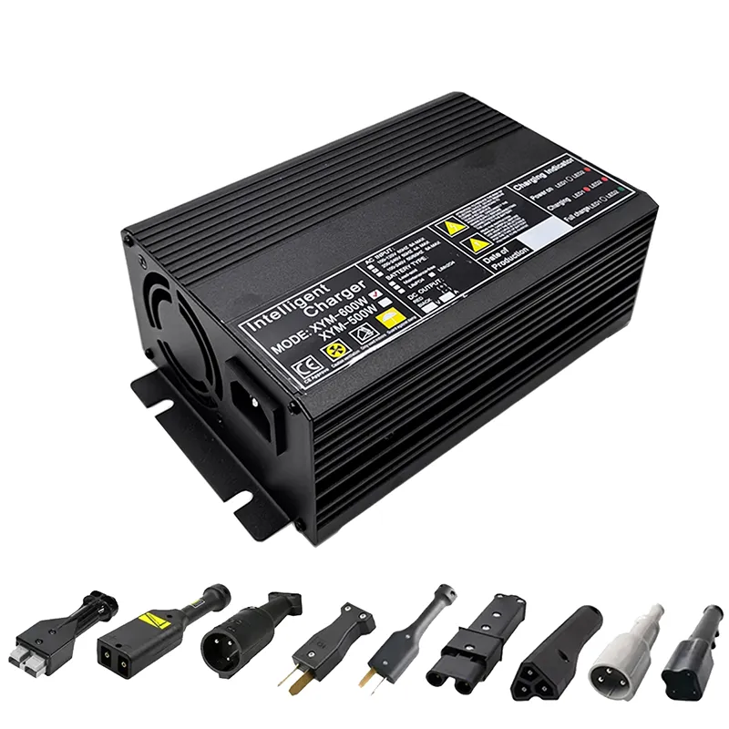 Caricabatterie universale 12V 50A