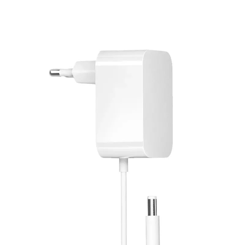 Adattatore di alimentazione con presa europea per montaggio a parete da 24 W 12 V 2 A