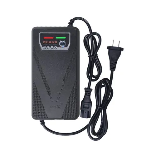 Caricabatterie per auto intelligente per veicoli elettrici 48V 220W
